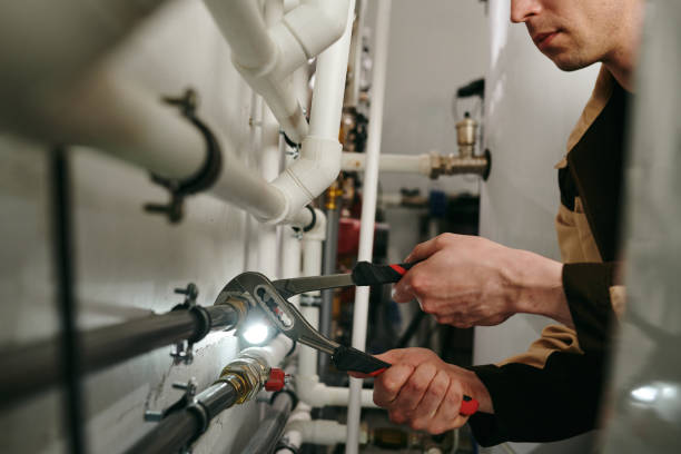 Best Residential Plumbing Services  in Laupahoehoe, HI