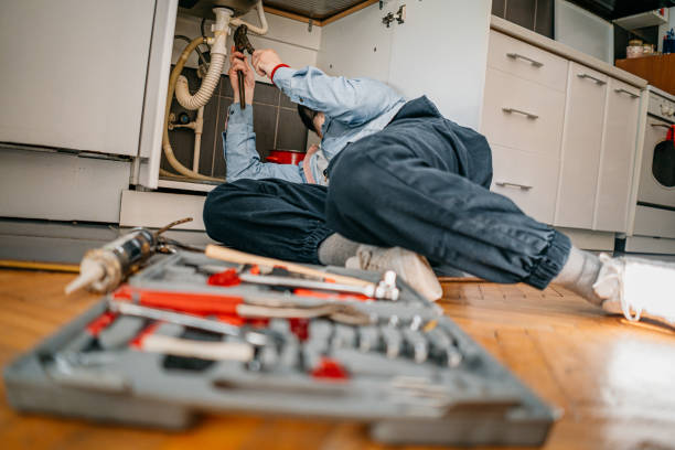 Best Affordable Plumbing Services  in Laupahoehoe, HI
