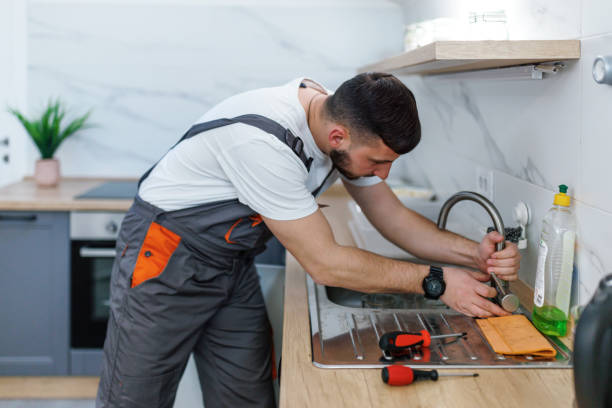 Professional Plumbing in Laupahoehoe, HI