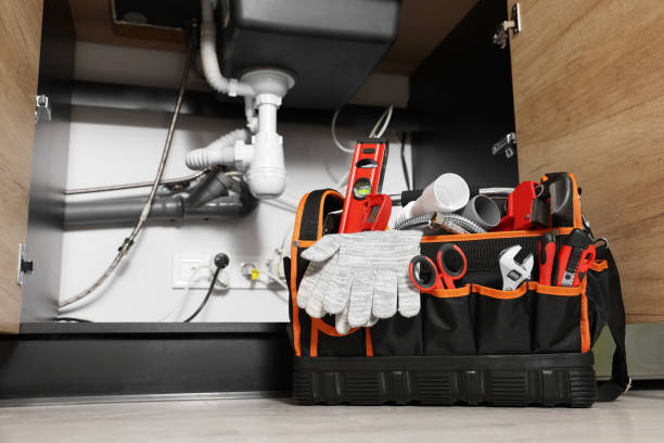 Best Emergency Plumber  in Laupahoehoe, HI