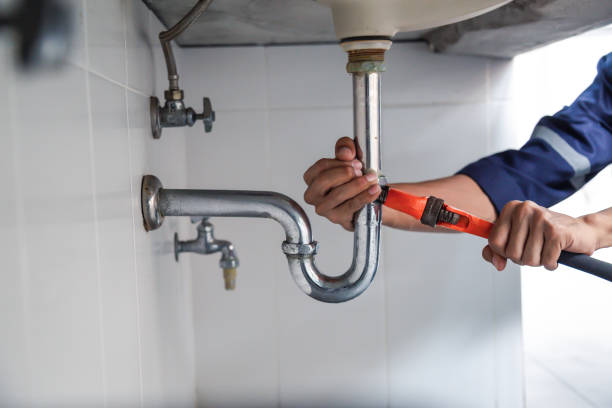 Best Water Softener Installation  in Laupahoehoe, HI