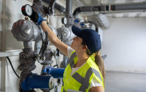 Best Drain Cleaning Services  in Laupahoehoe, HI