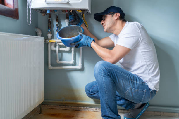 Best Sprinkler Systems  in Laupahoehoe, HI