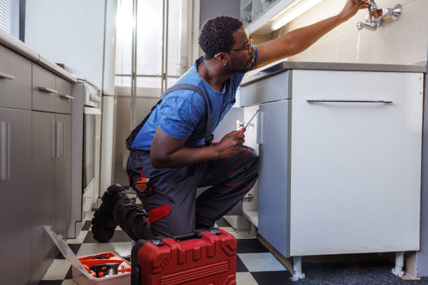 Best Plumbing Inspection Services  in Laupahoehoe, HI