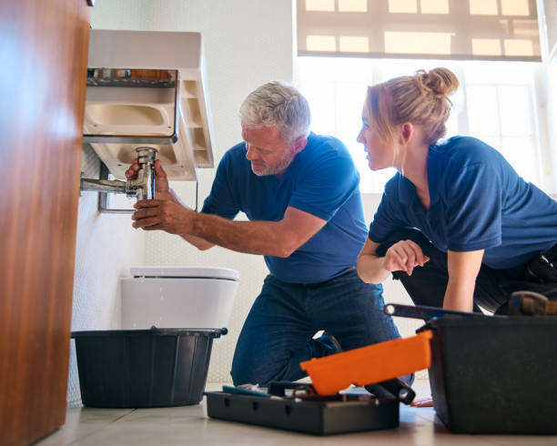 Professional Plumbing in Laupahoehoe, HI